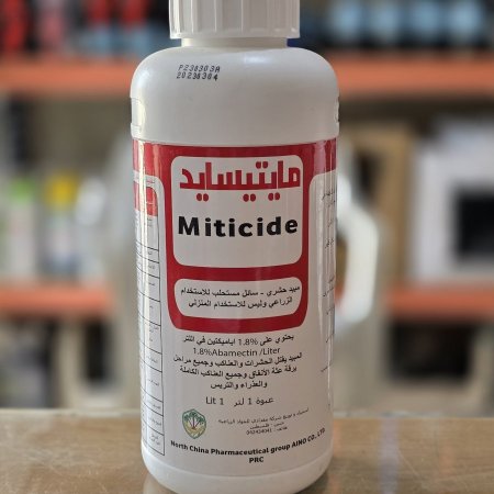 مايتسايد