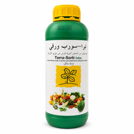 تيرا سورب ورقي