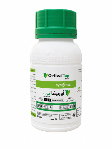 اورتيفا توب