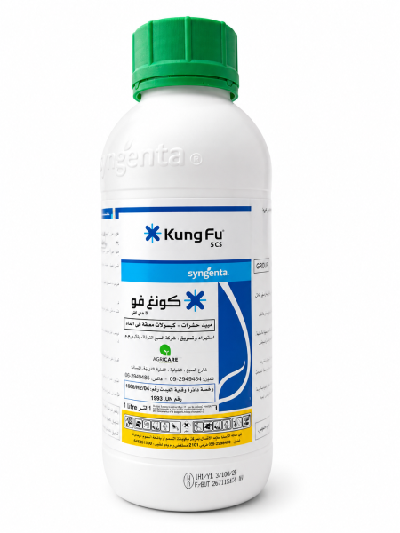 كونغ فو