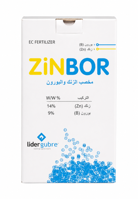 Zinbor
