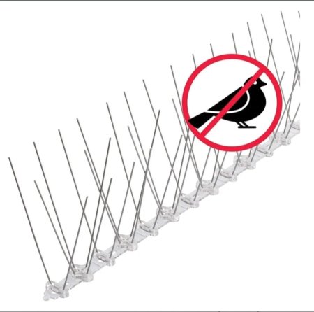 أشواك طاردة للطيور 🐦🚫